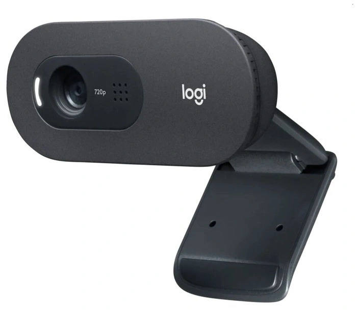 Web camera LOGITECH C505e image